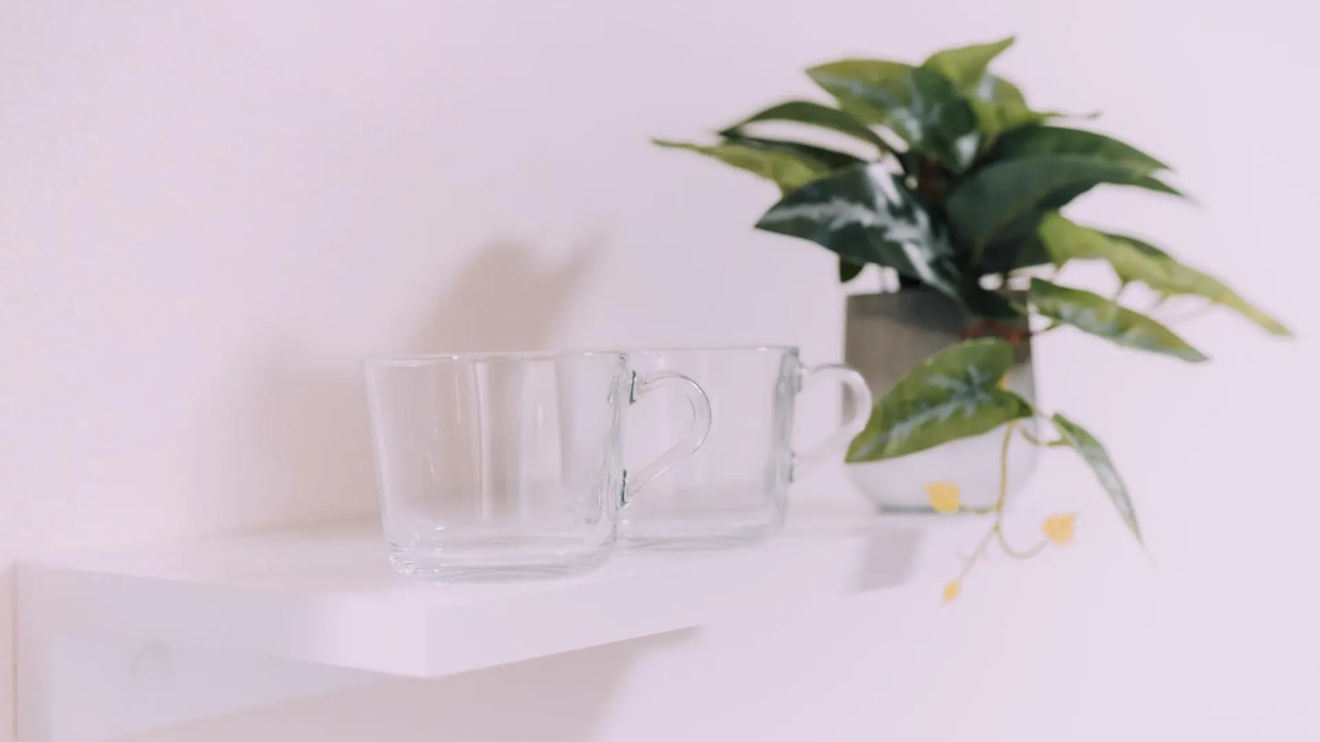 Minimalist Loft Namba Compact Studio With A 24-Hour Gym Ma902 大阪市 日本